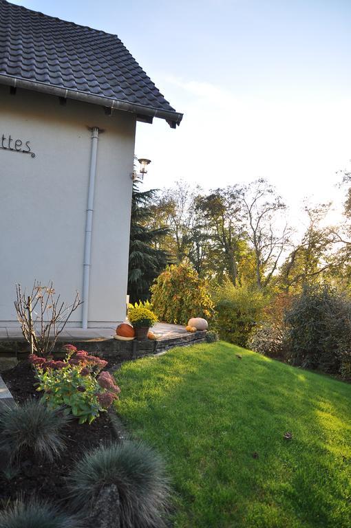 Chambres D'Hotes Les Chalinettes Fegersheim Exterior foto
